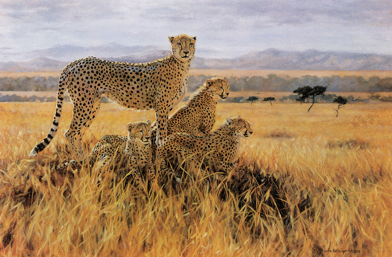 [FlowerChild scans] (Big Cats) Painted by Julia Rogers, A Vantage Point; DISPLAY FULL IMAGE.