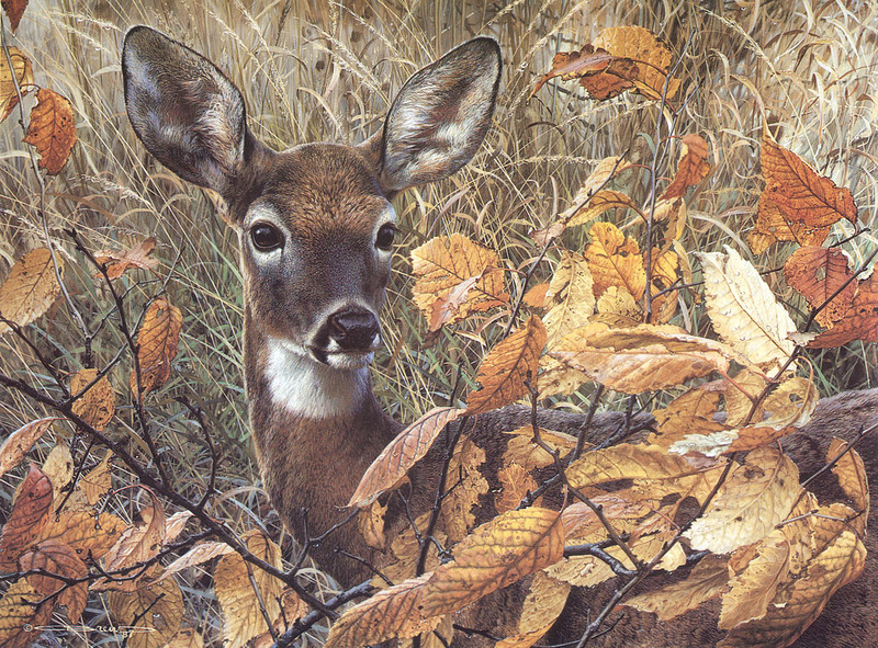 [FlowerChild scans] Painted by Carl Brenders, Autumn Lady; DISPLAY FULL IMAGE.