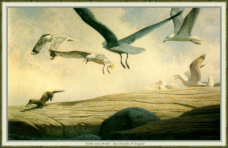 [CameoRose scan] Painted by Claudio D'Angelo, Gulls And Mink; DISPLAY FULL IMAGE.