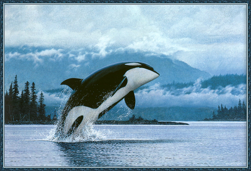[CameoRose scan] Painted by Claudio D'Angelo, Orca Breaching; DISPLAY FULL IMAGE.