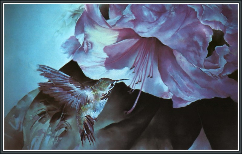 [CameoRose scan] Painted by Donna L. Arntzen, Garden Gem - Calliope Hummingbird; DISPLAY FULL IMAGE.