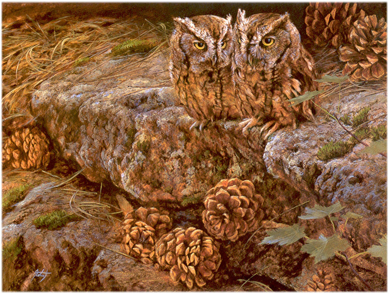 [CameoRose scan] Painted by Edward Aldrich, Screech Owl Pair With Pinecones; DISPLAY FULL IMAGE.