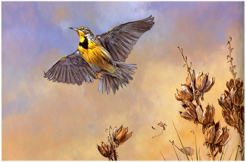 [CameoRose scan] Painted by Edward Aldrich, Meadowlark Morning; DISPLAY FULL IMAGE.