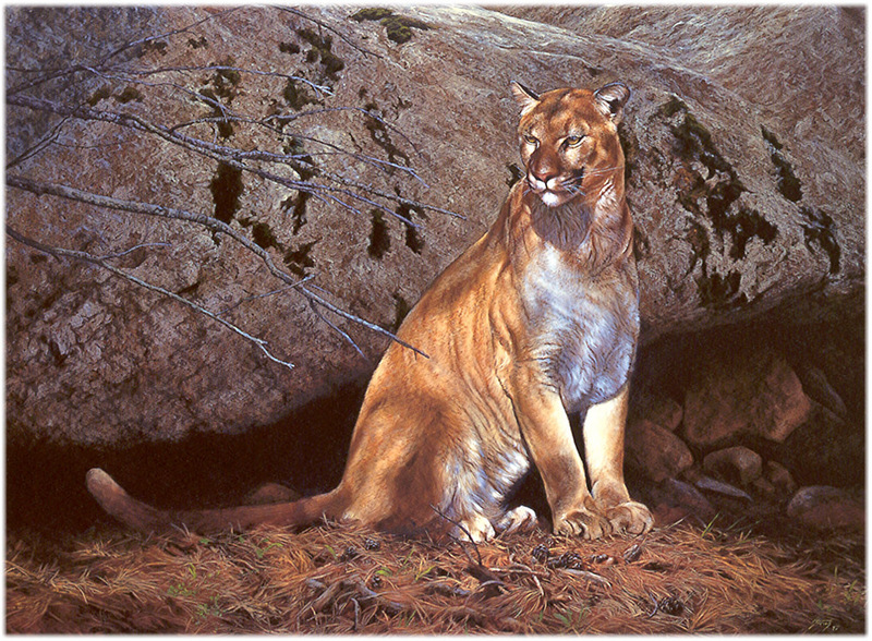 [CameoRose scan] Painted by Edward Aldrich, Guardian(Cougar); DISPLAY FULL IMAGE.