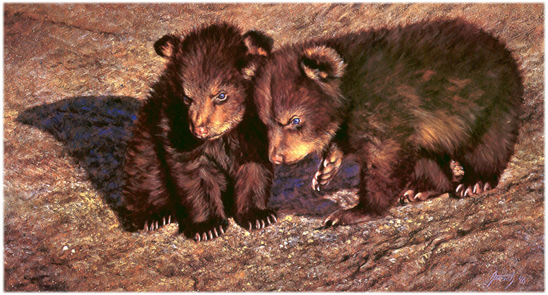[CameoRose scan] Painted by Edward Aldrich, Siblings (American Black Bear Cubs); DISPLAY FULL IMAGE.
