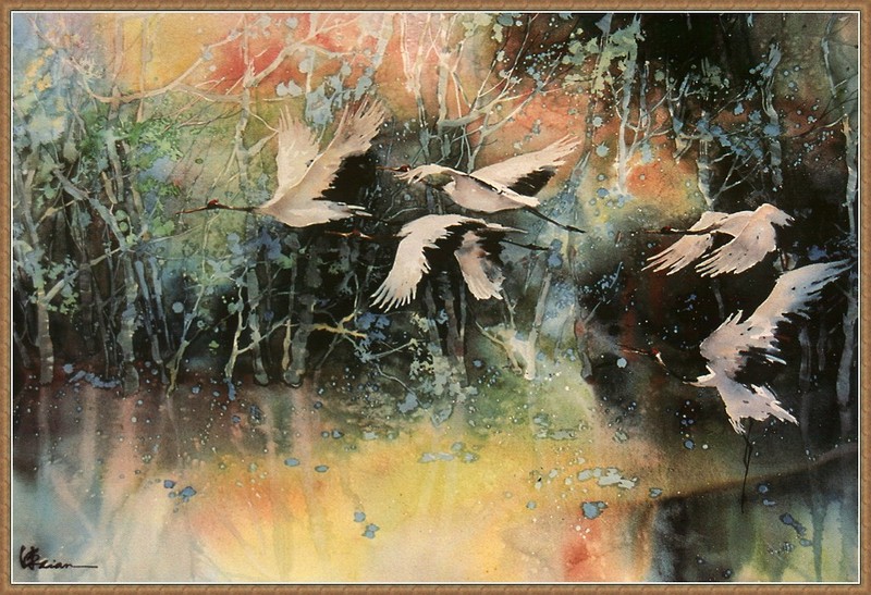 http://animal.memozee.com/ArchOLD-3/1113687952-m.jpg