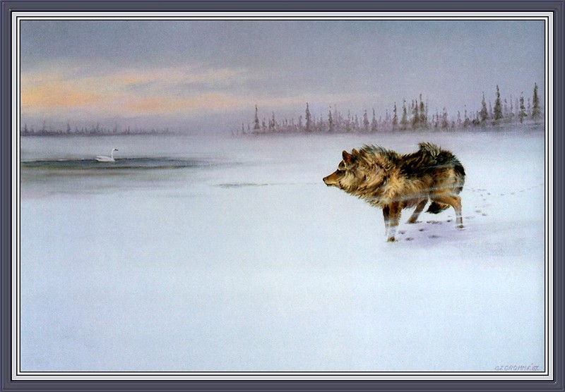 [CameoRose scan] Painted by Owen Gromme, Wolf & Swan; DISPLAY FULL IMAGE.