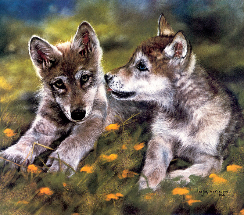 CPerrien scan] Paintings of Lesley Harrison - 2002 Calendar, The Spirit of Wolves; DISPLAY FULL IMAGE.