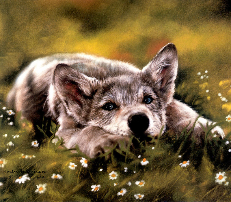 CPerrien scan] Paintings of Lesley Harrison - 2002 Calendar, The Spirit of Wolves; DISPLAY FULL IMAGE.