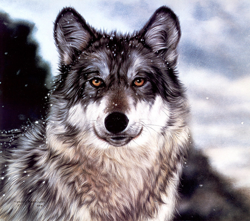 CPerrien scan] Paintings of Lesley Harrison - 2002 Calendar, The Spirit of Wolves; DISPLAY FULL IMAGE.