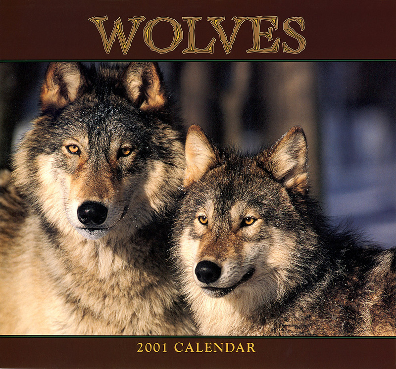 [CPerrien scan] Wolves - A Bay Street 2001 Calendar: Front; DISPLAY FULL IMAGE.