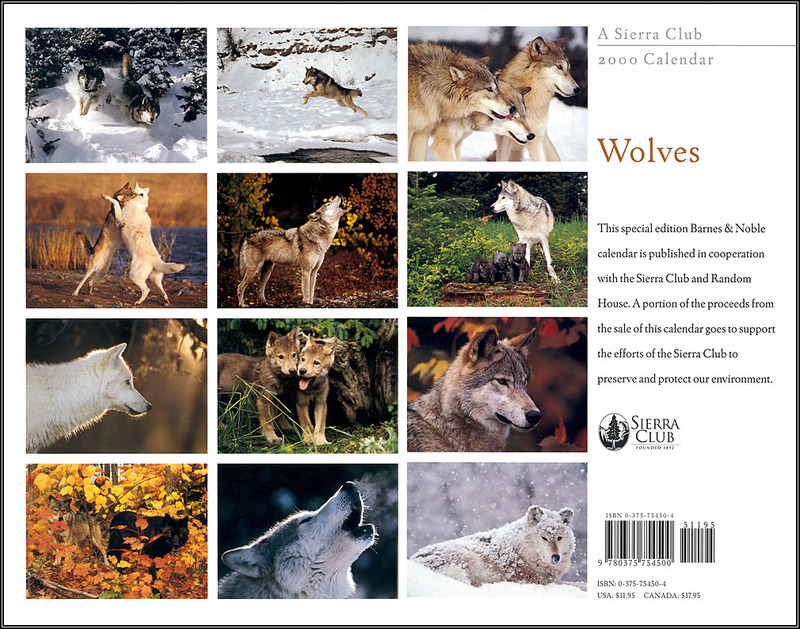 [CPerrien scan] Wolves - A Sierra Club 2000 Calendar: Back; DISPLAY FULL IMAGE.