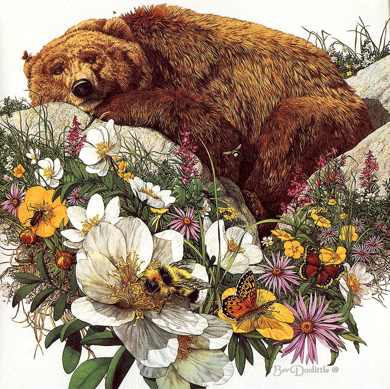 [LRS Art Medley] Bev Doolittle, Bugged Bear; DISPLAY FULL IMAGE.