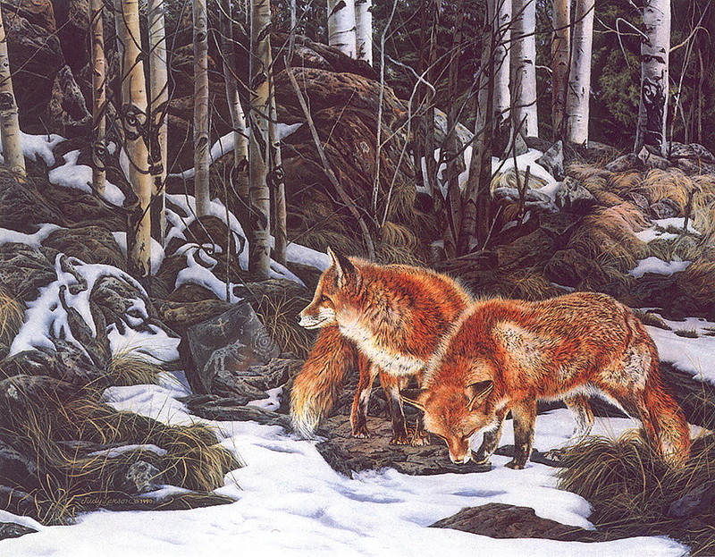 [LRS Art Medley] Judy Larson, Where wolves; DISPLAY FULL IMAGE.