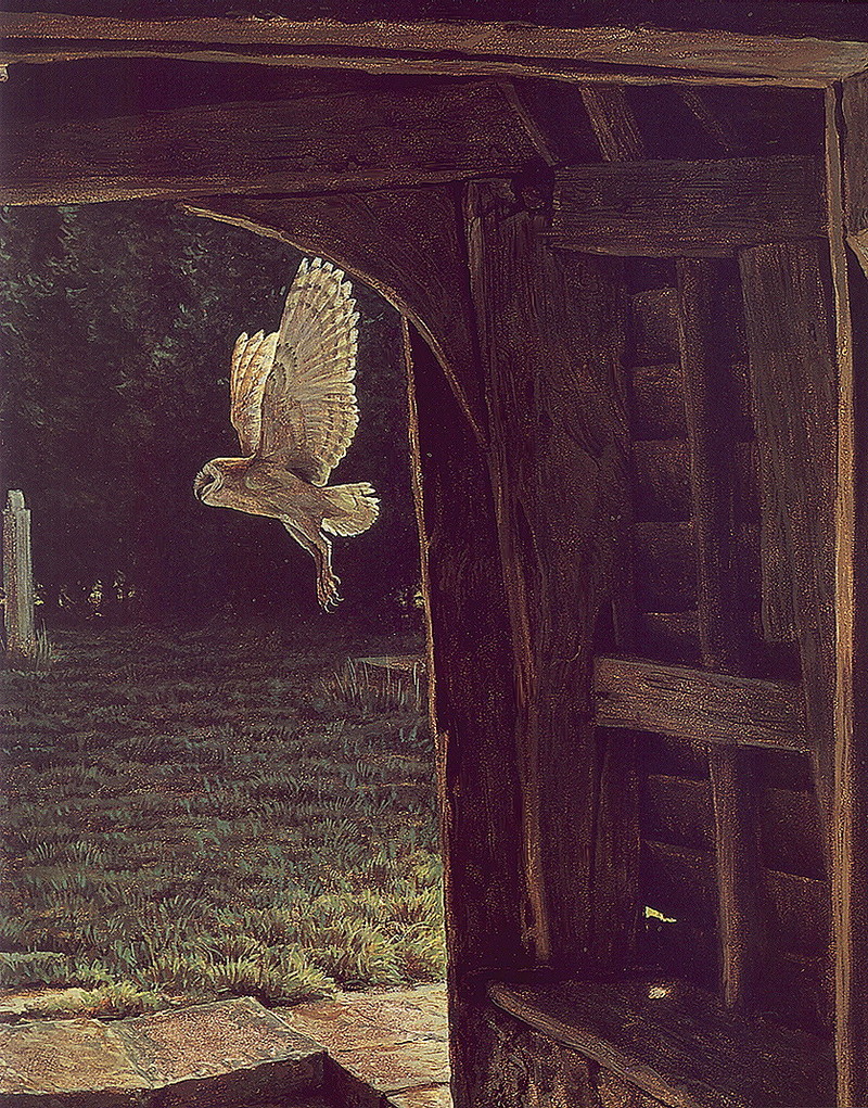[LRS Art Medley] Robert Bateman, Barn Owl; DISPLAY FULL IMAGE.