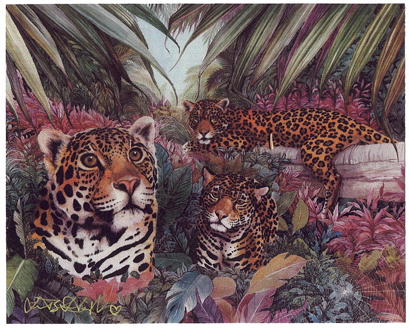 [LRS Art Medley] June Hart, Jaguar Family; DISPLAY FULL IMAGE.