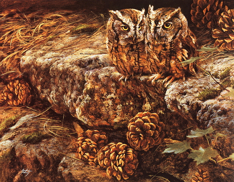 [LRS Art Medley] Edward Aldrich, Screech Owl Pair with Pine Cones; DISPLAY FULL IMAGE.