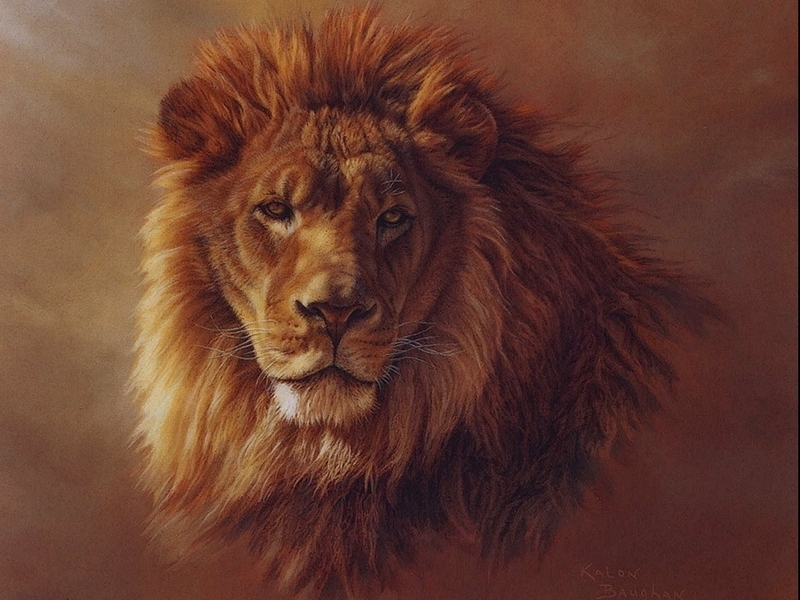 [LRS Art Medley] Kalon Baughan, African Lion; DISPLAY FULL IMAGE.
