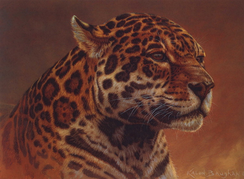 [LRS Art Medley] Kalon Baughan, Jaguar Portrait; DISPLAY FULL IMAGE.