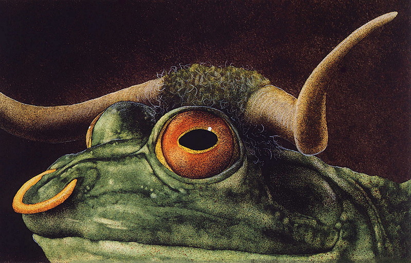 [LRS Art Medley] Will Bullas, The Lonely Bull Frog; DISPLAY FULL IMAGE.
