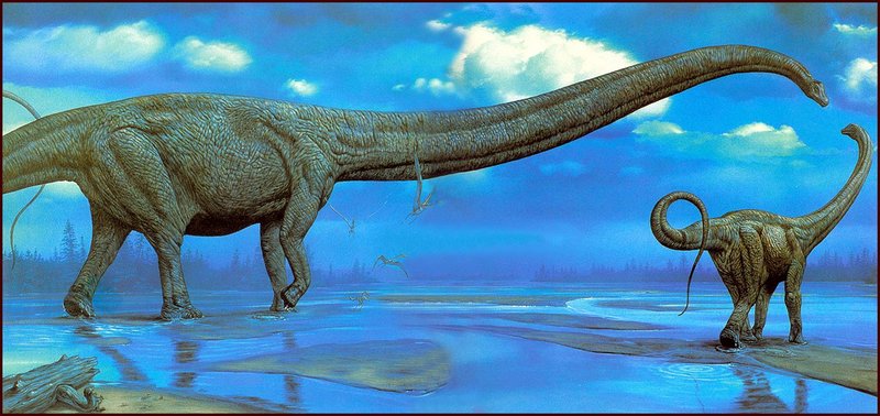 [LRS Art Medley] Dinosaurs by Mark Hallett, Mamenchisaurus; DISPLAY FULL IMAGE.