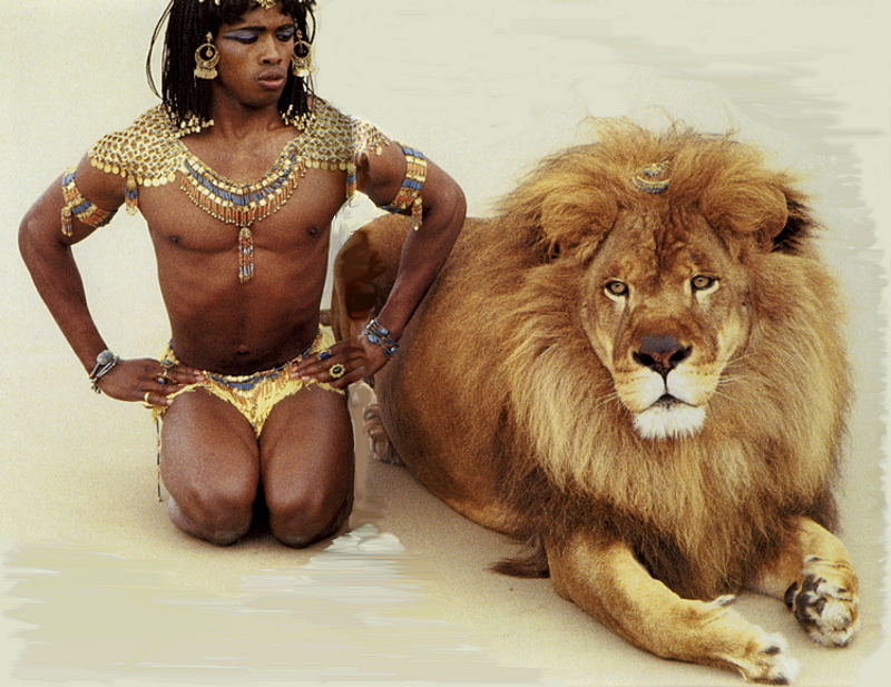 [LRS Art Medley] Vavra's Cats, African Lion; DISPLAY FULL IMAGE.