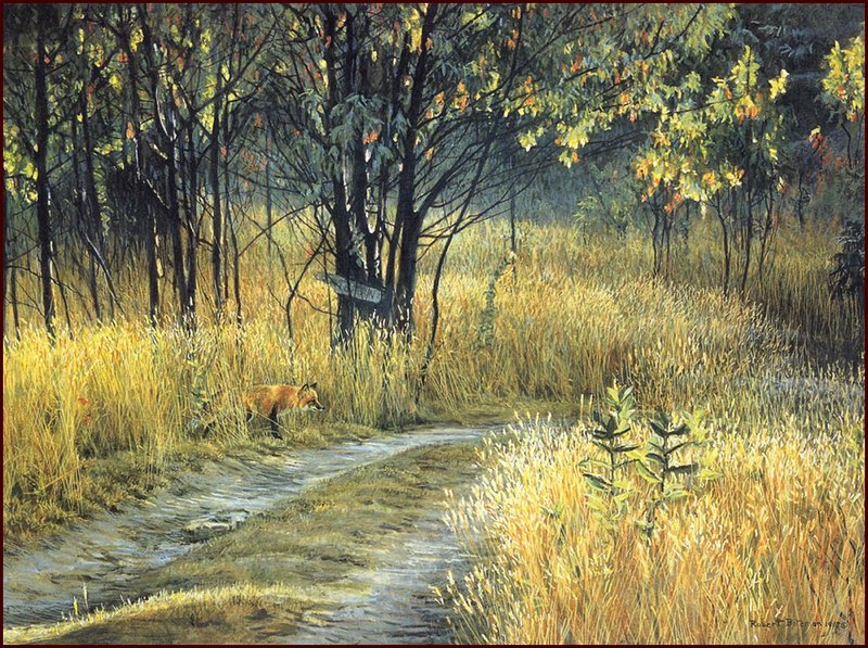 [LRS Animals In Art] Robert Bateman, Cottage Lane Red Fox; DISPLAY FULL IMAGE.