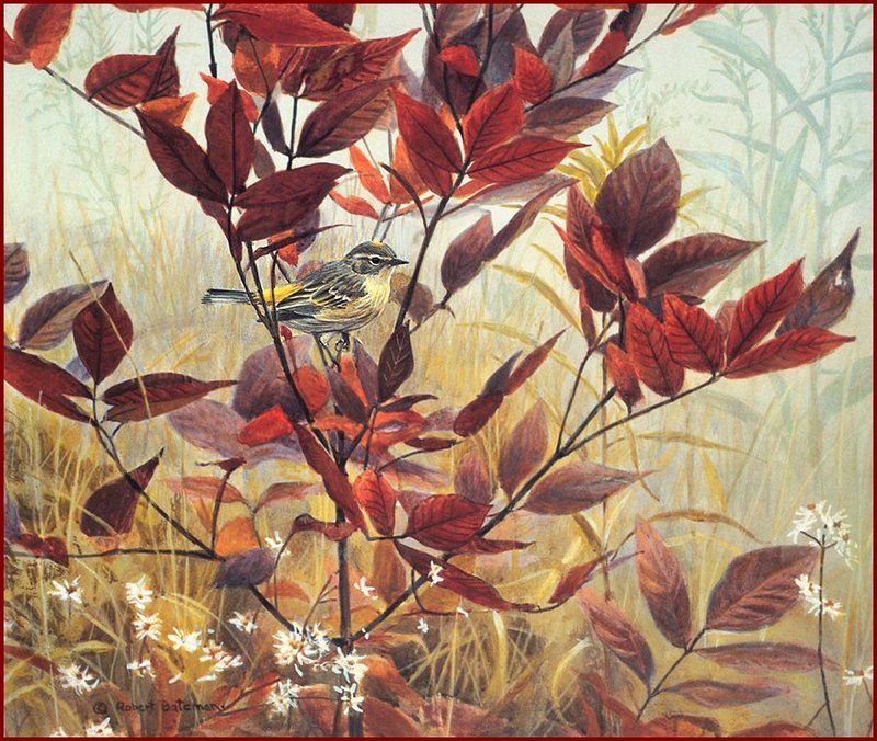 [LRS Animals In Art] Robert Bateman, Yellow-Rumped Warbler & Sumac; DISPLAY FULL IMAGE.