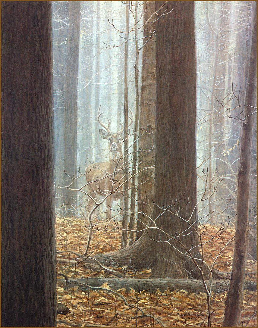 [LRS Animals In Art] Robert Bateman, White Tailed Buck; Image ONLY