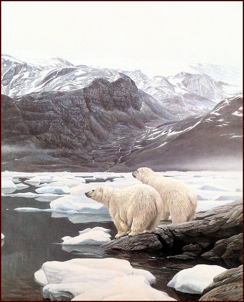 [LRS Animals In Art] Robert Bateman, Polar Bears at Baffin Island; DISPLAY FULL IMAGE.