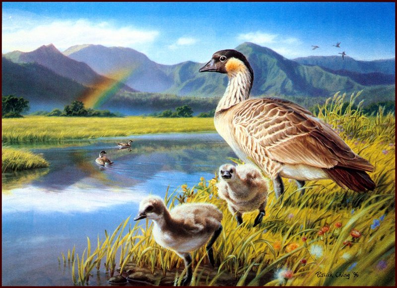 [LRS Animals In Art] Patrick Ching, Hawaii Duck Stamp; DISPLAY FULL IMAGE.