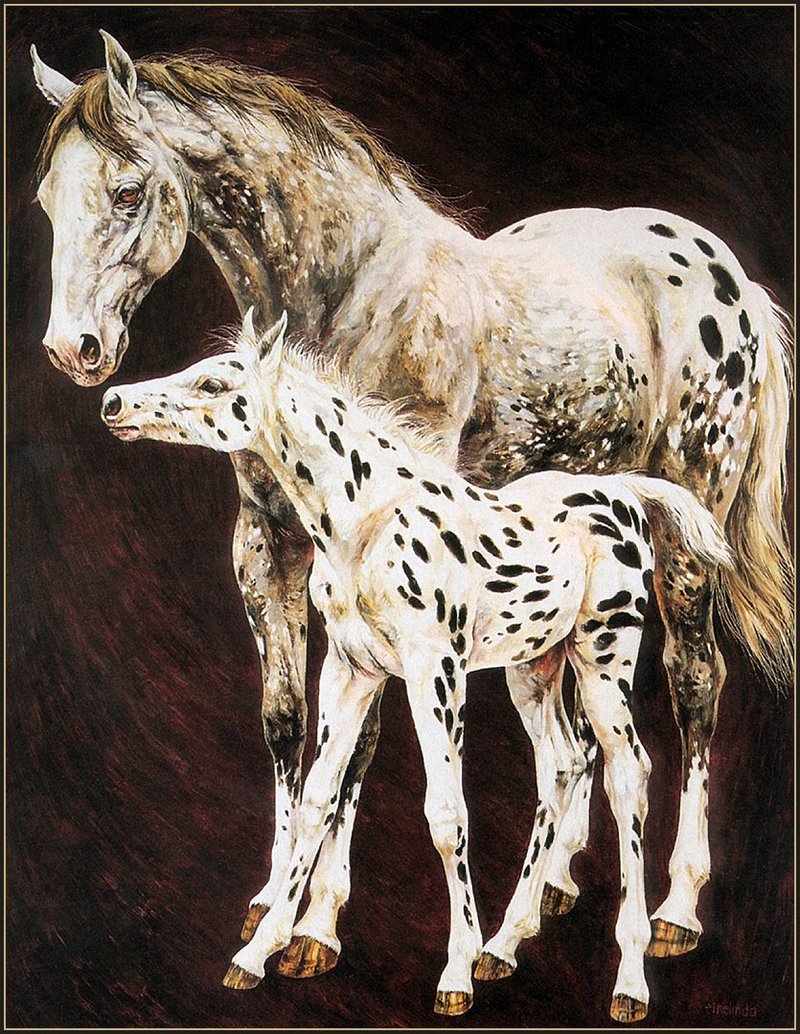 [LRS Animals In Art] Ethelinda, Crystaland Foal; DISPLAY FULL IMAGE.
