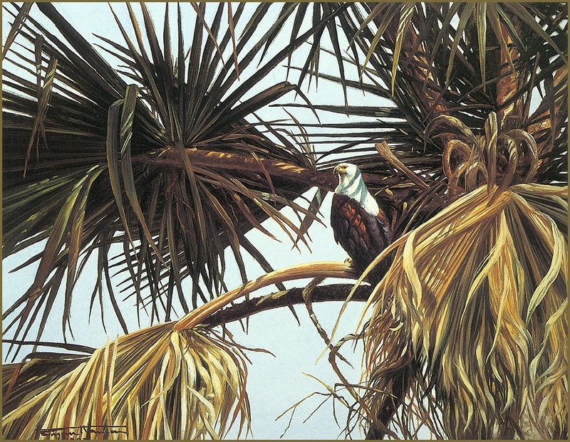 [LRS Animals In Art] Bryan Hanlon, Fish Eagle and Palm; DISPLAY FULL IMAGE.