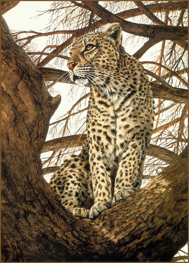 [LRS Animals In Art] Donald Heywood, Leopard in a Tree; DISPLAY FULL IMAGE.