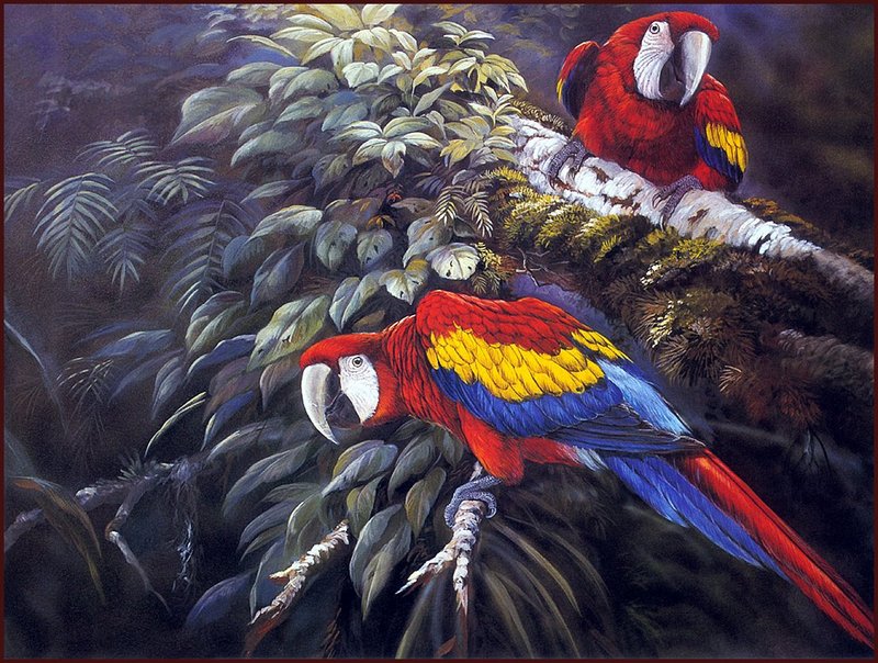[LRS Animals In Art] Gamini Ratnavira, Macaw Talk; DISPLAY FULL IMAGE.