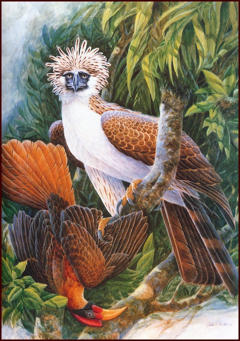 [LRS Animals In Art] John Ruthven, Philippine Eagle & Rufous Hornbill; DISPLAY FULL IMAGE.