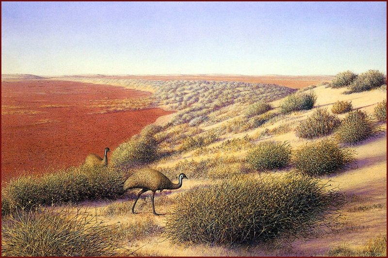 [LRS Animals In Art] Richard Weatherly, Birdsville Sandhill; DISPLAY FULL IMAGE.