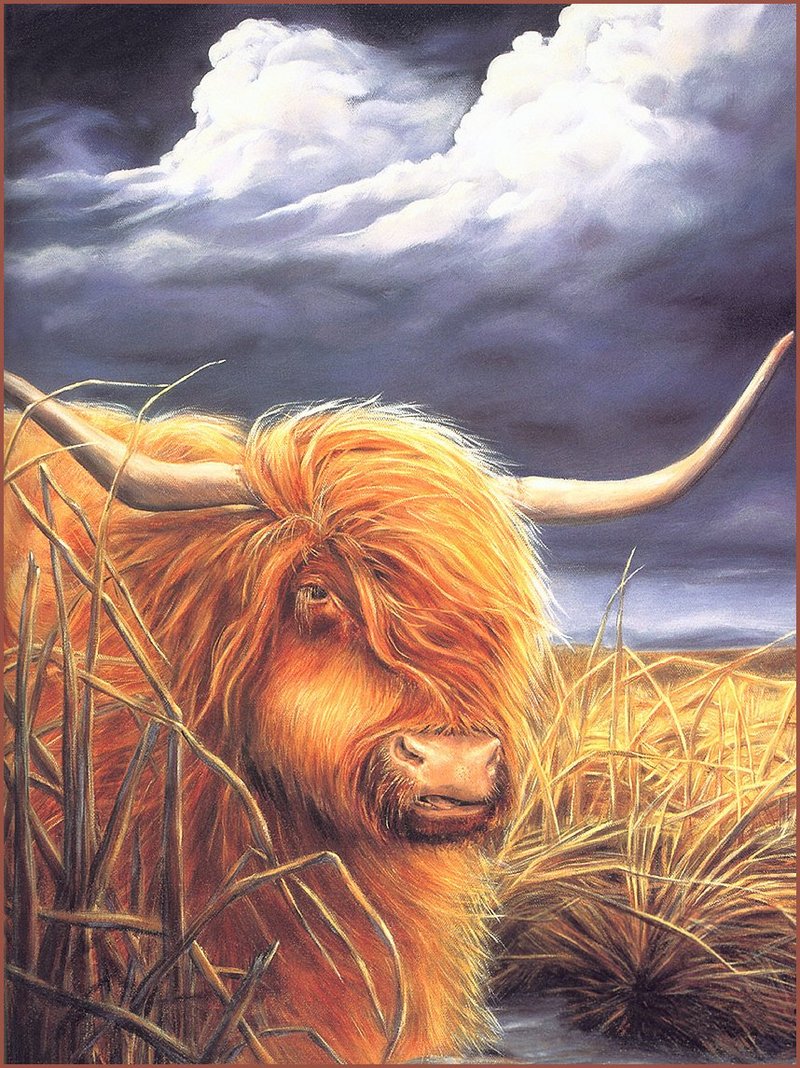 [LRS Barnyard Bestiary] Allen Kimball, Highland Cow; DISPLAY FULL IMAGE.