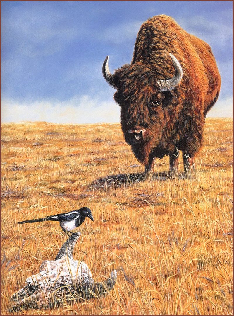 [LRS Barnyard Bestiary] Allen Kimball, Buffalo; DISPLAY FULL IMAGE.