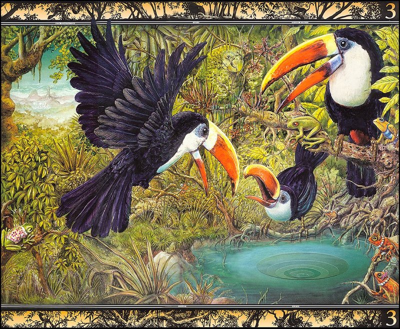 [LRS - The Waterhole] Painted by Graeme Base, Toucans; DISPLAY FULL IMAGE.
