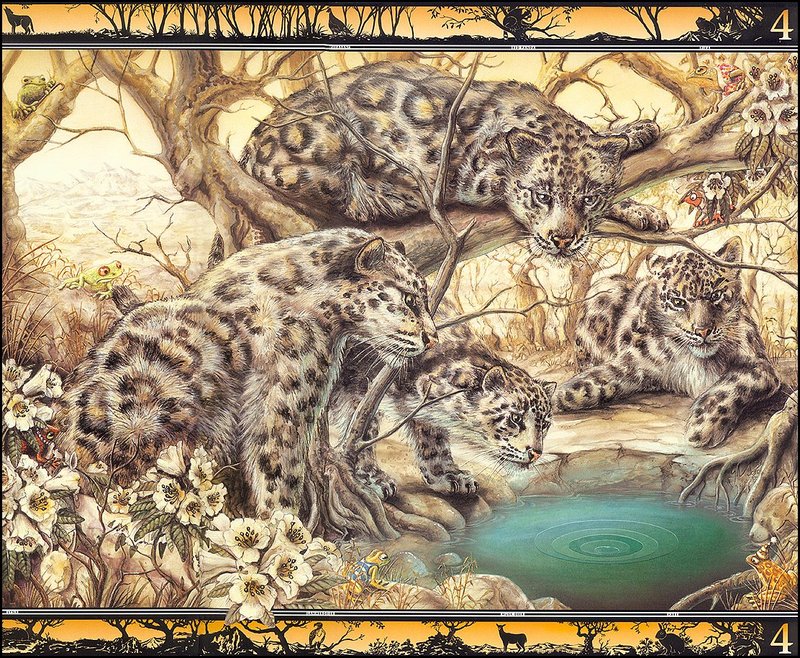 [LRS - The Waterhole] Painted by Graeme Base, Snow Leopards; DISPLAY FULL IMAGE.