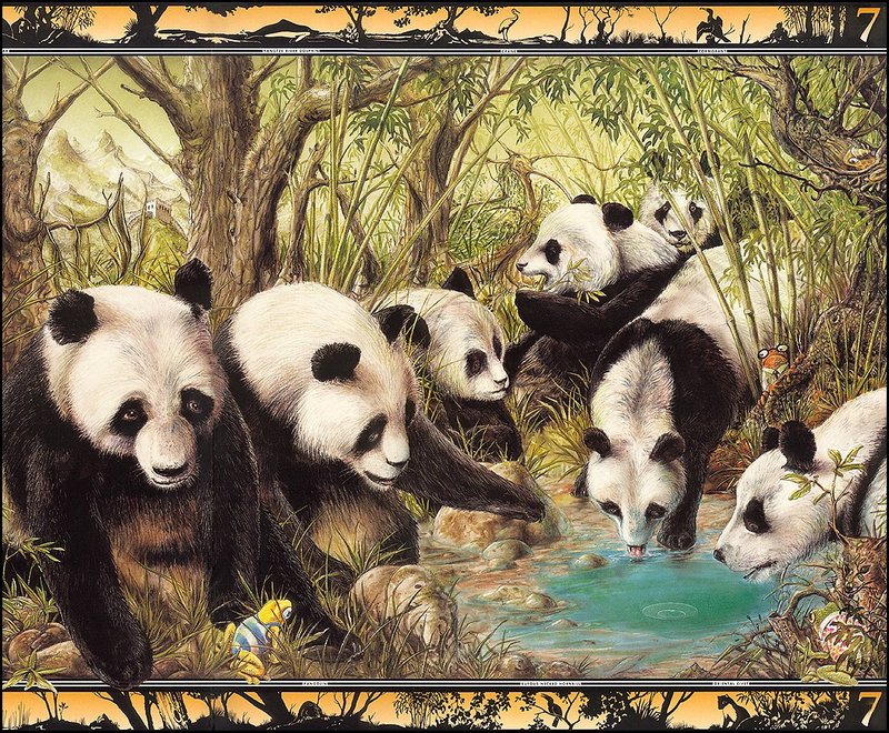 [LRS - The Waterhole] Painted by Graeme Base, Pandas; DISPLAY FULL IMAGE.