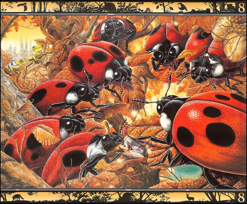 [LRS - The Waterhole] Painted by Graeme Base, Ladybugs; DISPLAY FULL IMAGE.
