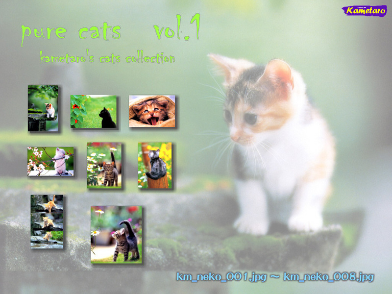 [Pure Cats Vol. 001] Index; DISPLAY FULL IMAGE.