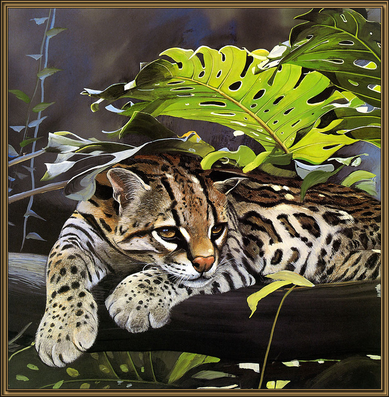 Paintings of Big Cats 2001 Calendar; DISPLAY FULL IMAGE.