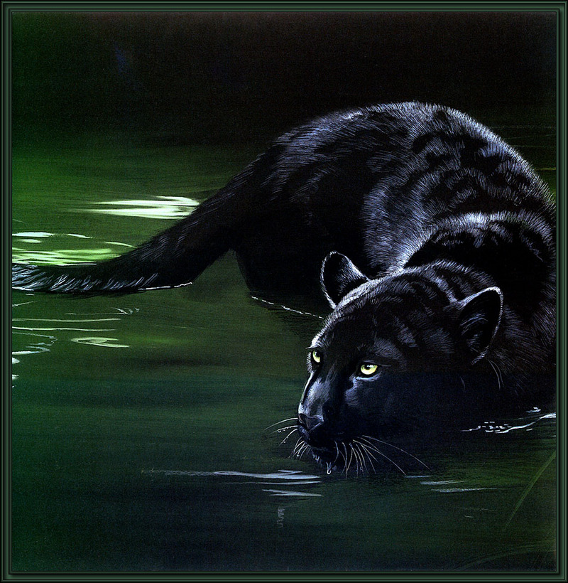 Paintings of Big Cats 2001 Calendar; DISPLAY FULL IMAGE.