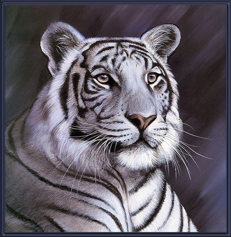 Paintings of Big Cats 2001 Calendar; DISPLAY FULL IMAGE.