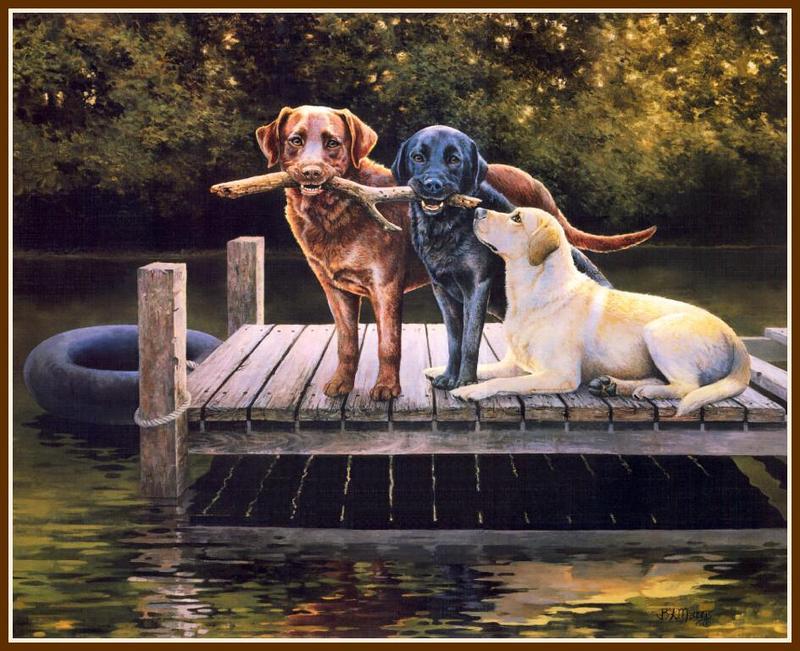 [Animal Art - Bonnie Marris] Dog Days; DISPLAY FULL IMAGE.