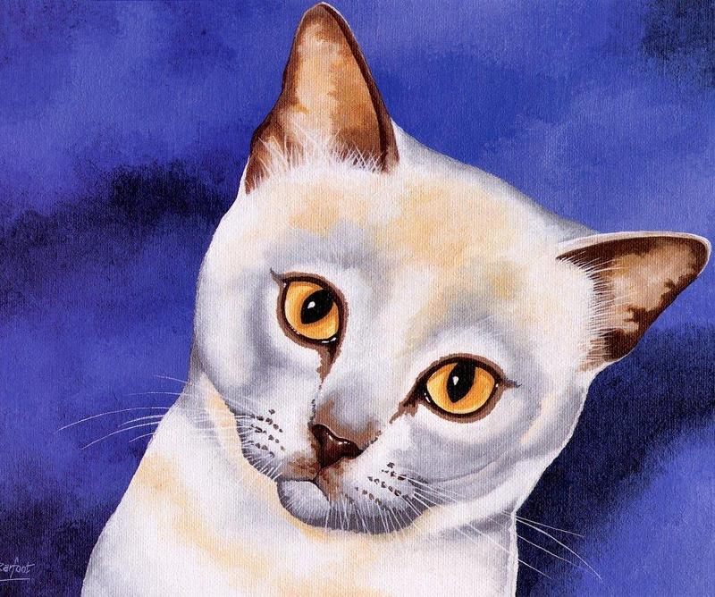 [Animal Art - Brian Barfoot] Cat; DISPLAY FULL IMAGE.