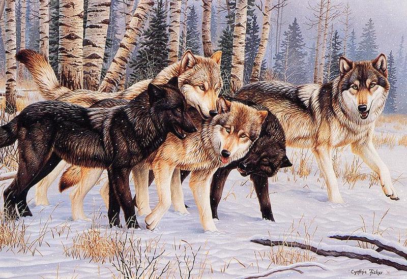 [Animal Art - Cynthie Fisher] Wolves; DISPLAY FULL IMAGE.